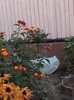 DSC01834