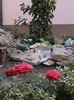 DSC01835