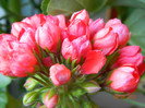 DSCN1939