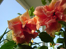 DSC07676