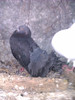 IMAG0328