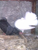 IMAG0329