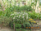 DSCN1938