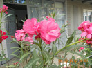 DSCN1941