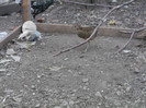 Picture 5065