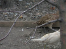 Picture 5067