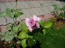 P1010756