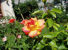 P1010777