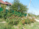 DSCN0493