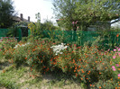 DSCN0496