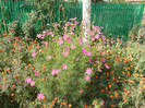 DSCN0498