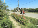 DSCN9942