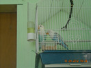 DSCN0106