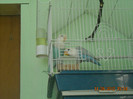 DSCN0107