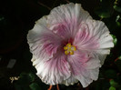 P1180352