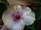 P1180355