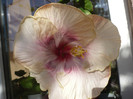 P1180357