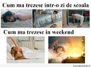 Neatza-tuturor