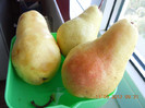 DSCN4925