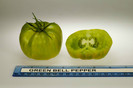 Green_Bell_Pepper_