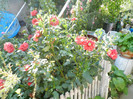 DSCN0402