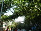 DSCN0412