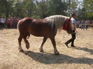 DSCF5458