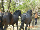 DSCN1758