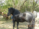 DSCN1759