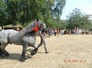 DSCN1762