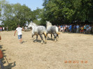 DSCN1772