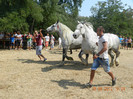 DSCN1774