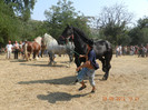 DSCN1776