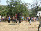 DSCN1779