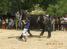 DSCN1781