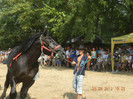 DSCN1782