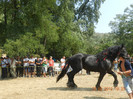 DSCN1783