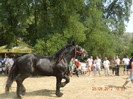 DSCN1785