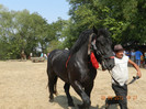 DSCN1786