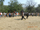 DSCN1787