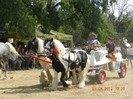 de vanzare