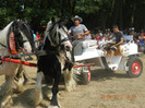 DSCN1797
