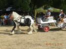 DSCN1798