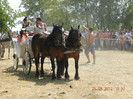 DSCN1809