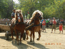 DSCN1810