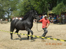 DSCN1820