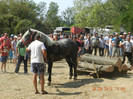 DSCN1825