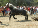 DSCN1828