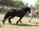 DSCN1839