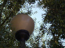 120920124068